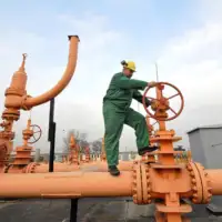 Plin gas Juzna interkonekcija