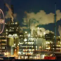 Bayer