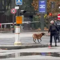 Pariz bomba tv