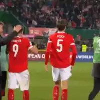 Bih austrija