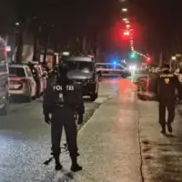 Policija austrija