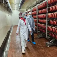 Suhomesnati proizvodi Prerada mesa priprema suhomesnatih proizvoda
