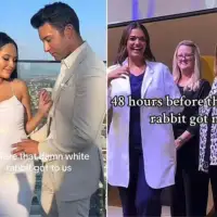Novi trend osvaja Tik Tok Znate li sta oznacava bijeli zec