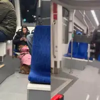 Sarajka izbacena iz tramvaja zbog psa