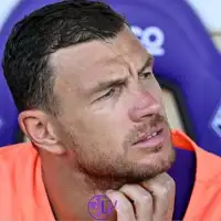 Edin Dzeko Fiorentina
