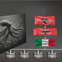 Droga Albanija Prokrijumcareno 13 tone kokaina otkrivena imena 24 clana albanskog klana