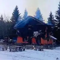 Bukovik (Foto: Facebook/Armin Handžar)