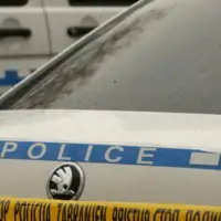 Policija rs ilustracija 3 scaled 872x610