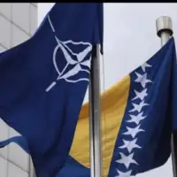 Nato bih