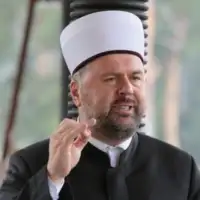 Mevludin ef Dizdarevic