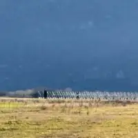 Nišići avion nesreća