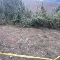 Prijedor ekshumacija/ Fena