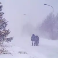 Holandija snijeg 01 foto X