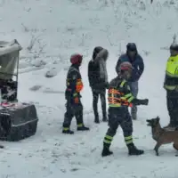 Vatrogasno drustvo Vogosca spasavanje spasioci pas licenca