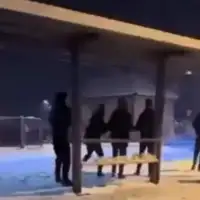 Srbija 01 Djeca grudvama gadala autobus vozac izasao sa sipkom