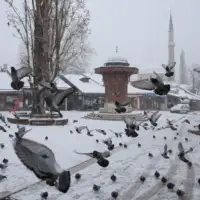 Bascarsija snijeg tvsa