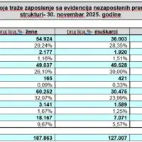 Lica koja traze zaposlenje sa evidencija nezaposlenih prema kvalifikacionoj strukturi 30 novembar 2025 godine