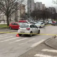 Alipasino Polje udaren pjesak 02