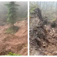 Curine njive 1 872x610