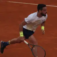 Damir Dzumhur