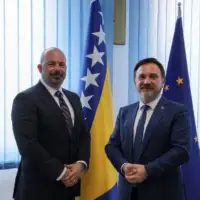 Ginkel i Hasičević