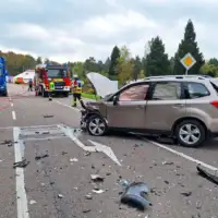 Njemačka mravi nesreća