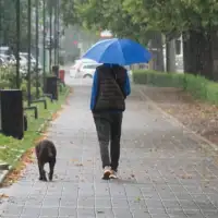 Kisa sarajevo 6 760x610