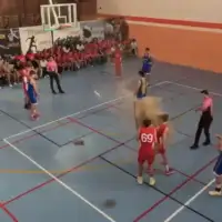 Sevilla utakmica plafon