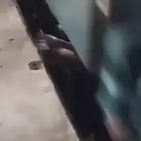 Bangladeš voz