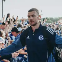 Dzeko Schalke 04