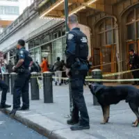 Sad policija