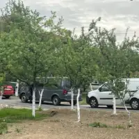 Zivinice