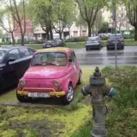 Rozi Fićo zagreb