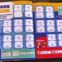 Panini groznica u Sarajevu
