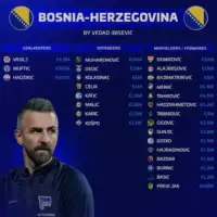 Vedad Ibisevic