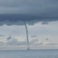 Umag pijavica