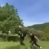 Milici vrsnjacko nasilje