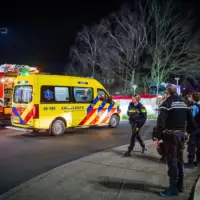 Nizozemska ebola
