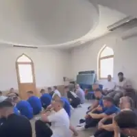 Zmajevi dzuma sokolovic kolonija