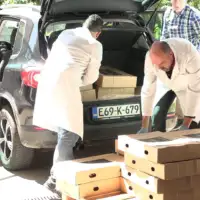 Kurbani iz bih