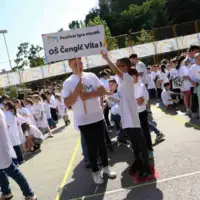 Os cengic vila