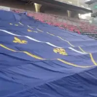 Amerik zastava tribine ljiljani