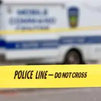 policija sad
