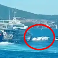 Jedrilica hrvatska sudar
