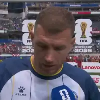 dzeko