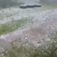 Foča nevrijeme