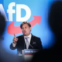 Maximilian Krah afd njemacka