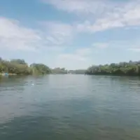Orasje