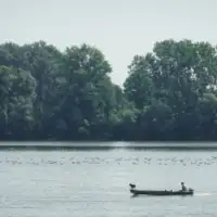 drina