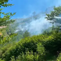Rujište požar